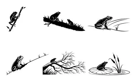 Black and white of frogs in various poses and environments animals wildlife. イラスト素材