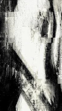 Black and White Glitch Texture with Scanline Interference Stock Illustration