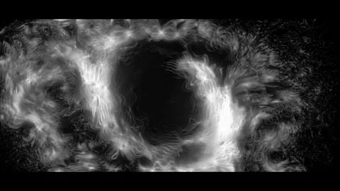 Black and white glowing point energy cell particles move freely. 4K Stock Footage 287901315