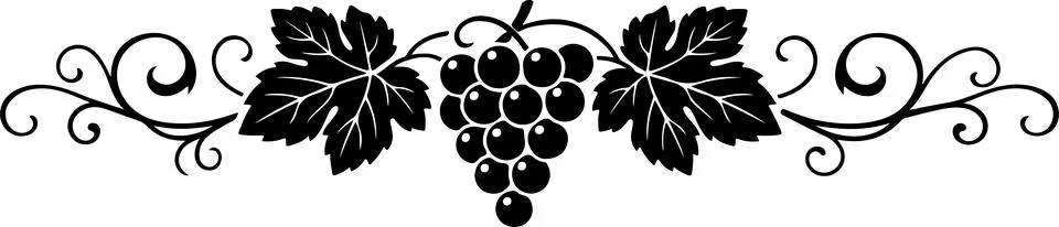 Black and white grape cluster illustration with decorative leaves and elega.. Stock Illustration