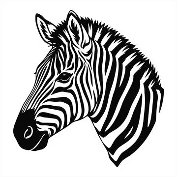 Black and white graphical illustration of a zebra head profile on white bac.. Ilustração Stock