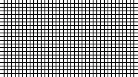 Black and white grid pattern. Monochromatic square grid. Abstract checkerbo.. Stock Illustration