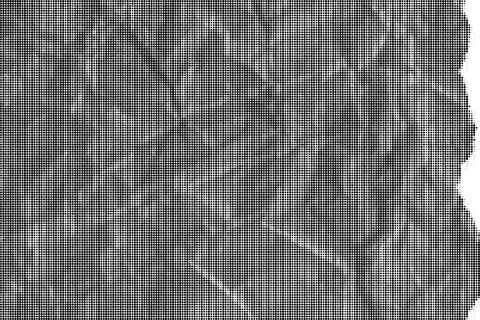 Black and white halftone dot pattern background with diagonal grid overlay d Illustrazione stock