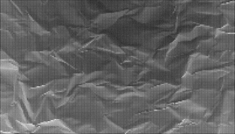 Black and white halftone dot pattern background with varying densities and t Illustrazione stock