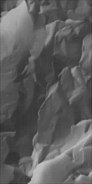 Black and white halftone dot pattern with diagonal grid lines and varying do 库存插图