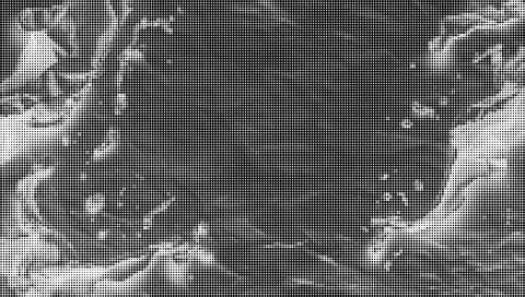 Black and white halftone geometric pattern with circular dots and fine lines イラスト素材