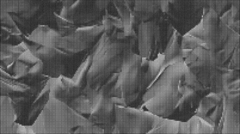 Black and white halftone pattern of small geometric circles creating a dense 스톡 일러스트