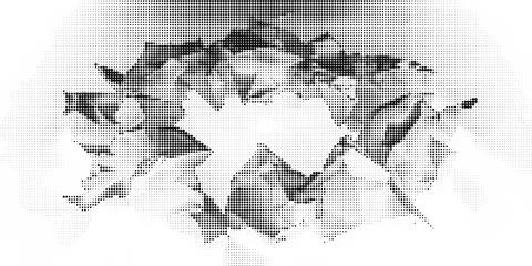 Black and white halftone pattern with circular and linear on textured backgr イラスト素材