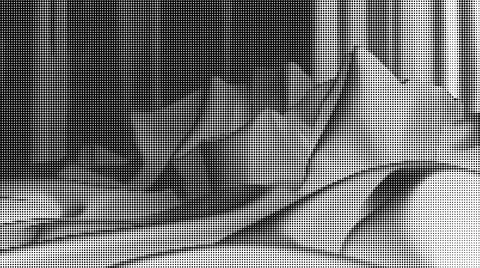 Black and white halftone pattern with circular dots in gradient density Illustrazione stock