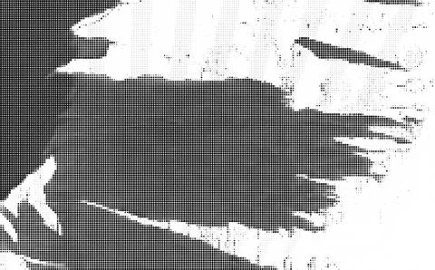 Black and white halftone pattern with circular dots of varying sizes and den 스톡 일러스트