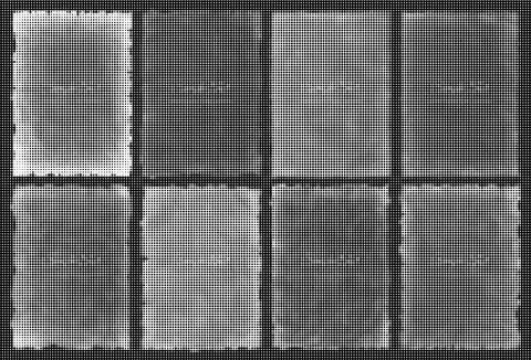 Black and white halftone pattern with circular dots of varying sizes creatin 库存插图