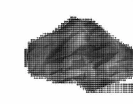 Black and white halftone pattern with concentric circular dots of varying de 库存插图