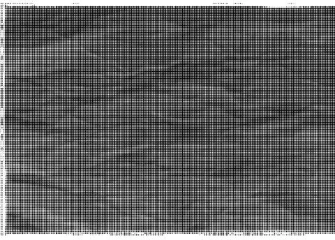 Black and white halftone pattern with dense circular dots creating a texture イラスト素材