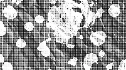 Black and white halftone pattern with dense circular dots creating a texture 库存插图