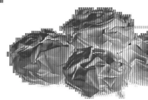 Black and white halftone pattern with dense circular dots in grid layout dot Illustrazione stock