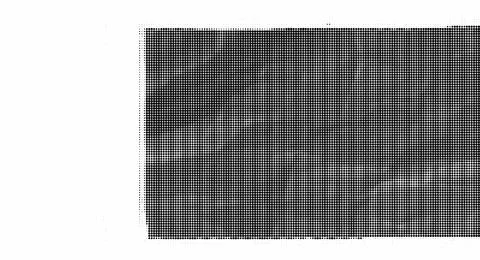 Black and white halftone pattern with dense dot grid texture and subtle grad Illustrazione stock