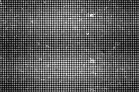 Black and white halftone pattern with dense dot grid texture background dot  Illustrazione stock