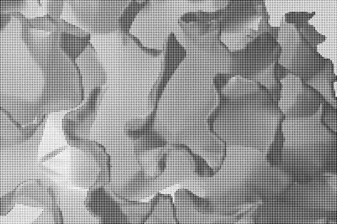 Black and white halftone pattern with dense rows of small dots creating a te 스톡 일러스트