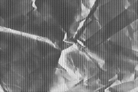 Black and white halftone pattern with dense rows of small dots creating a te 库存插图