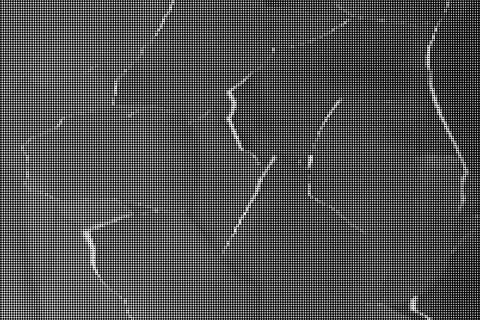 Black and white halftone pattern with evenly spaced dots creating a textured 库存插图