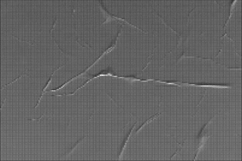Black and white halftone pattern with fine diagonal grid texture diagonal li Illustrazione stock