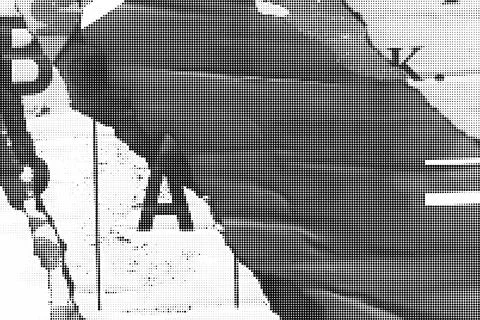 Black and white halftone pattern background with intricate floral and leafy  库存插图