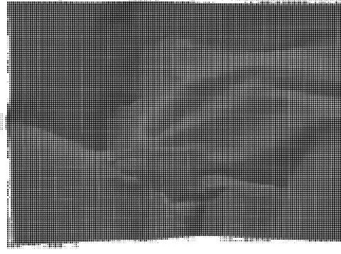 Black and white halftone pattern of small dots creating a dense grid texture イラスト素材