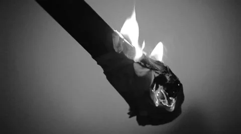 Black and white Horror Stock Footage 34433402