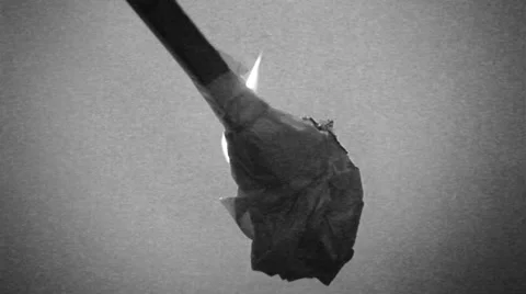 Black and white Horror Stock Footage 34436230