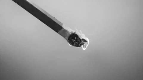 Black and white Horror Stock Footage 34437573