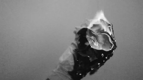 Black and white Horror Stock Footage 34437920