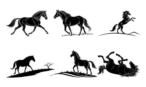 Black and white of horses in various poses silhouettes running rearing Stock Illustration