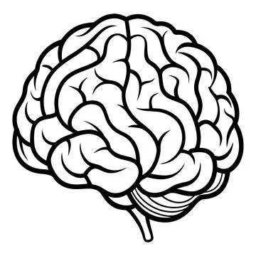 Black and white of a human brain line anatomy organ 스톡 일러스트