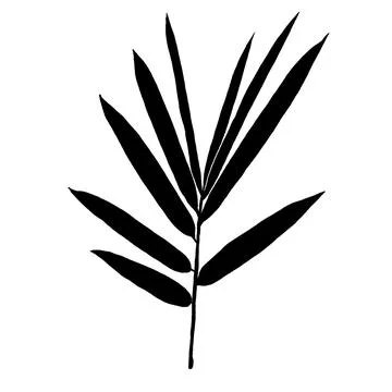 Black and white Stock Illustration