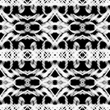 Black and white Ilustração Stock