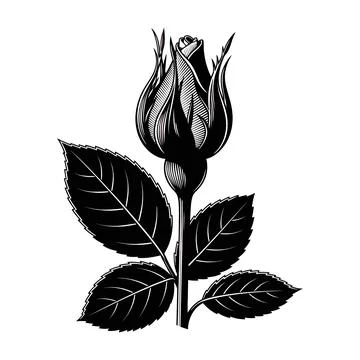 Black and white illustration of a rosebud with leaves vector イラスト素材