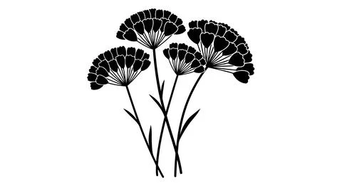 A black and white illustration of three dandelion flowers Stock Illustration