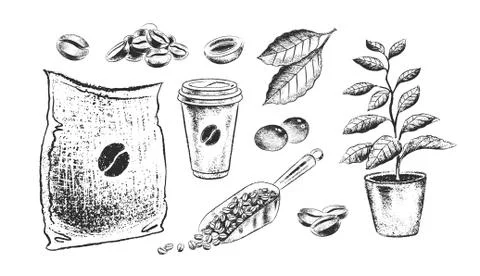 Black and white illustrationsof coffee items Stock Illustration