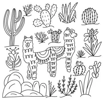 Black and white image of an Alpaca among cacti Stock Illustration