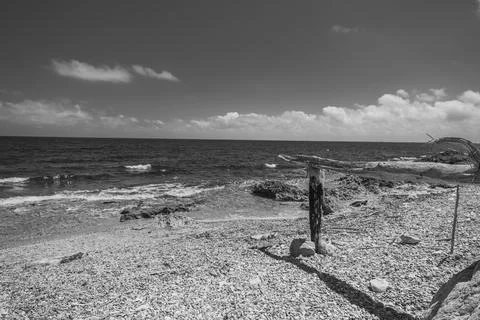 Black and white image of a beach with woods on the shore. Foto stock