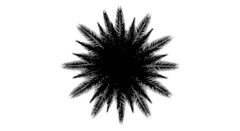 A black and white image of a burst of fireworks Illustrazione stock