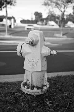 Black and white image of a fire hydrant Stock Photos