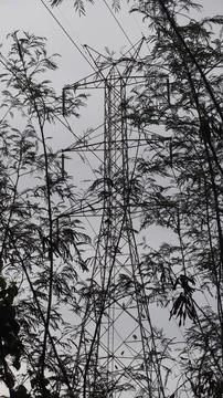 Black and white image of high-voltage power poles. Stock Photos