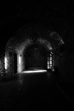 Black and white image of the interior of a castle room. Stock Photos