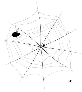 Black and white image of a web and spiders crawling on them. Vector illustrat Stock Illustration