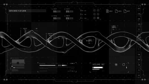 Black and white infographic elements with DNA. Stock Illustration