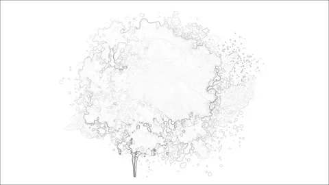Black and White Ink Splatter Animation on a white background. Stock Footage 219430665