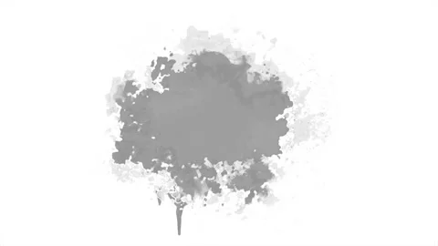 Black and White Ink Splatter Animation on a white background. Stock Footage 219430867