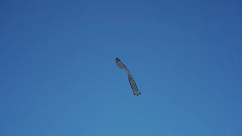 Black and white kite with tail Video stock 264157978