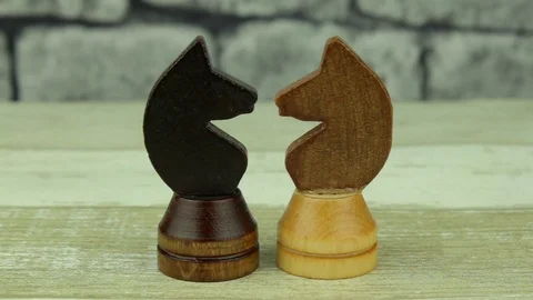 Black and white knights two chess Stock Footage 78223061